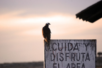 Sunset landscape in Guerrero Negro