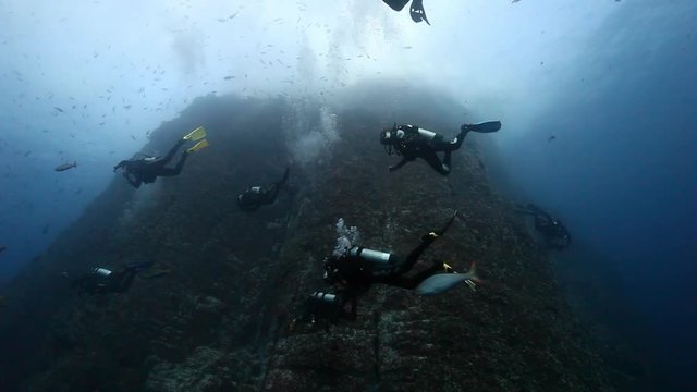 Divers near drop off reef mountain underwater in Pacific ocean. Unique amazing video footage. Abyssal relax landscape. Foothills in sea. Lower part of stone rocks beneath water surface.