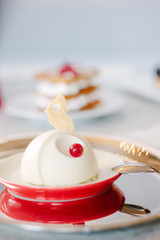 Beautiful and delicious panna cotta on red plate.