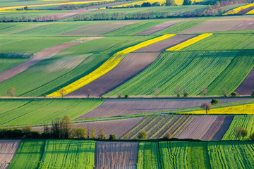 Fields in Austria landscape in spring