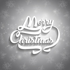 Fototapeta na wymiar Christmas greeting card text. Merry Christmas lettering, vector illustration