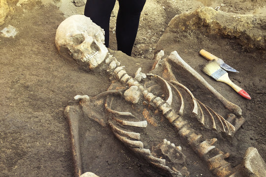 Archaeological excavations and finds (bones of a skeleton in a human burial),  working tool, ruler, knife, brush, a detail of ancient research, prehistory.