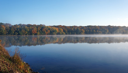 étang de Hollande pond in Rambouillet forest