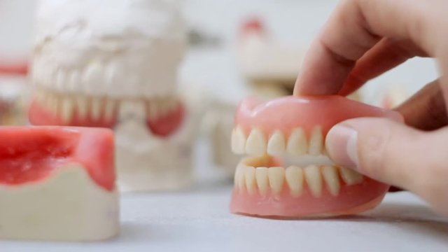 The false jaw clicks against the background of the teeth models