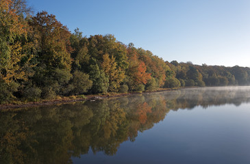 Fototapeta na wymiar étang de Hollande pond in Rambouillet forest