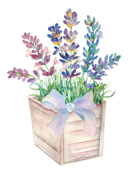 Watercolor lavender flowers in a pot