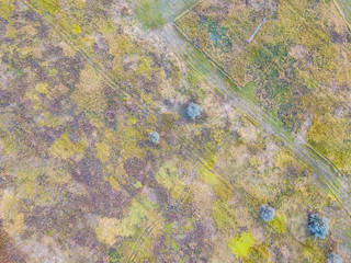 Fototapeta na wymiar Forest and field with a trail aerial photography
