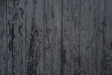 Old grey wood texture background. Vertical wood planks