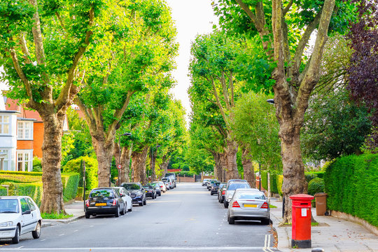 View Of Street Lined With Trees In London