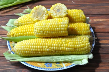 Raw corn on the table