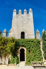 Fototapeta premium Almodovar del Rio Castle, Cordoba, Andalusia, Spain.