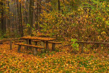 Naklejka premium Bench filled with leaves on a rainy autumn day in the Tricity Landscape Park, Gdansk, Poland