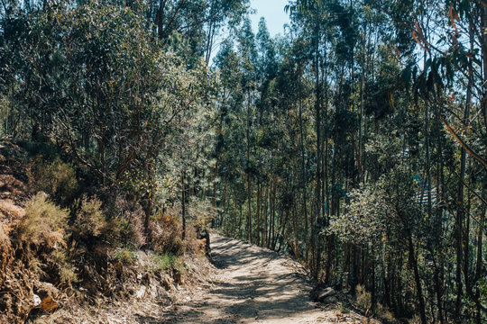  Parque Natural do Alvao