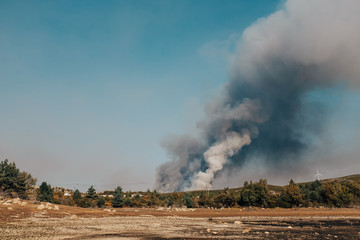 Forest fires in Portugal