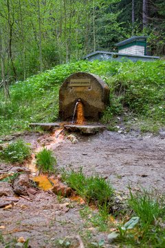 Mineral water spring (Balbin&acute;s Spring - Balbinuv pramen) in the spa forest near the spa town Marianske Lazne (Marienbad) - great famous Bohemian spa town in the west part of the Czech Republic