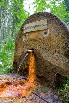 Mineral water spring (Balbin&acute;s Spring - Balbinuv pramen) in the spa forest near the spa town Marianske Lazne (Marienbad) - great famous Bohemian spa town in the west part of the Czech Republic