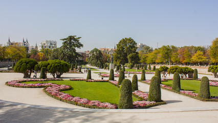 Park Buen Retiro , botanical garden, freakish trees, flower beds, Madrid