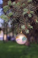 Christmas toy  on a fir branch