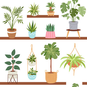 House indoor vector plants and nature homemade flowers in pot interior decoration houseplant natural tree flowerpot illustration seamless pattern background