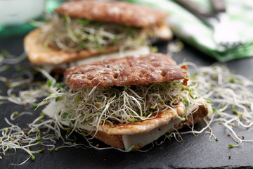 Sandwiches with grilled turkey, cheese, and leek sprouts