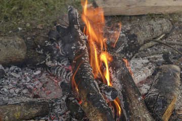 Campfire in the outdoors