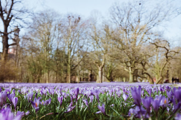 Spaziergang durch Husum