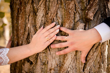 couples hands on background wood