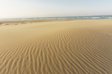 Fototapeta na wymiar sand dunes as background
