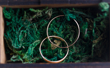 gold rings in a beautiful box with decoration