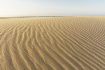 sand dunes as background