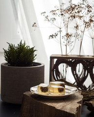 Marmelade with pine cones, home plants and dry dill