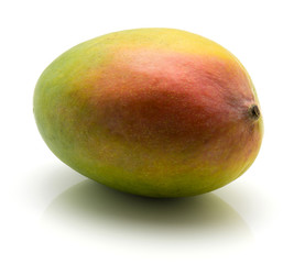 One mango isolated on white background.