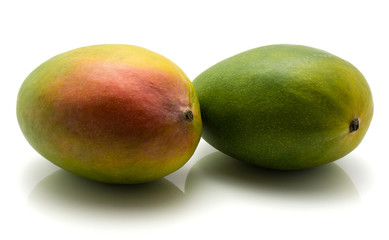 Two mango isolated on white background.