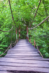 Fototapeta na wymiar A wooden bridge with metallic hinges through the vegetation nature