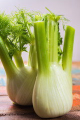 Fresh raw organic Florence fennel bulbs, close up
