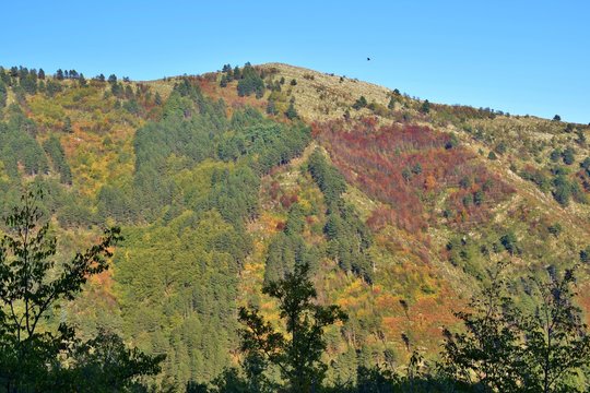 Montagne con boschi a macchia mediterranea