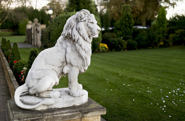 Portrait of a noble and regal male lion stone statue in a stately home garden in England, UK