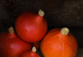 Autumn decoration. Pumpkin patch. Autumn still life with colorful small pumpkins. Seasonal fall fruits. Autumn background