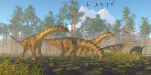 Camarasaurus Dinosaur Herd - A flock of Dorygnathus reptiles fly over a herd of Camarasaurus dinosaurs busy eating vegetation.