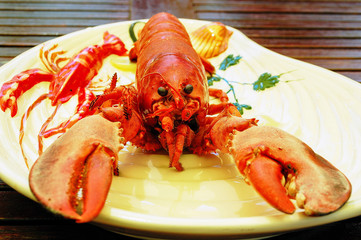 Lobster