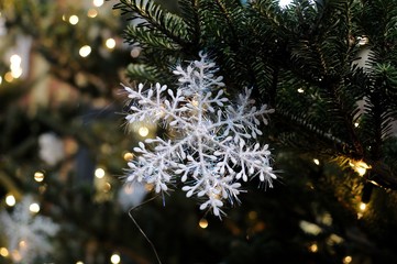 Dekoracja świąteczna © Pawel Gruntowicz