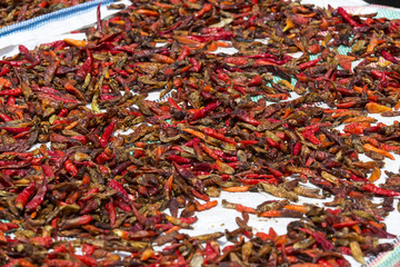 Red hot dried chili pepper