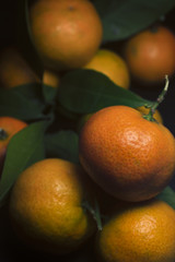 Sicilian tangerines with leaves