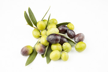 Dalında Zeytin