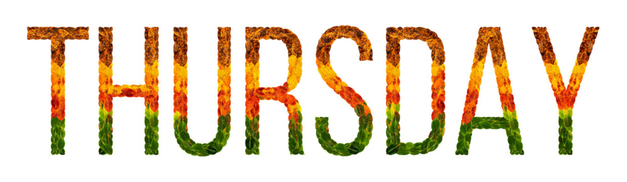 word thursday written with leaves white isolated background, banner for printing, creative illustration of colored leaves.