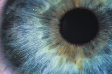 An enlarged image of eye with a blue iris, eyelashes and sclera. the shot is made by a slit lamp with a built-in camera