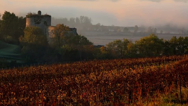 Bordeaux vineyard in autumn under the frost and fog, Time Lapse, Langoiran Castle