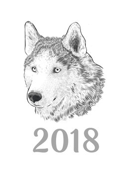 New Year 2018 congratulation card. Husky dog Portrait. Engraving monochrome hand drawing image isolated on white background.