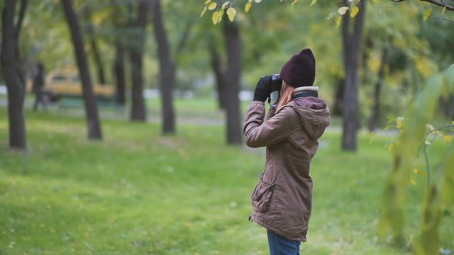 beautiful twoman tourist travel photographer photographing forest at autumn day