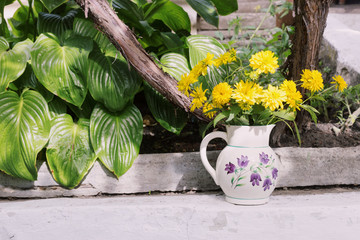 Fresh yellow flowers in white vase on white stairs